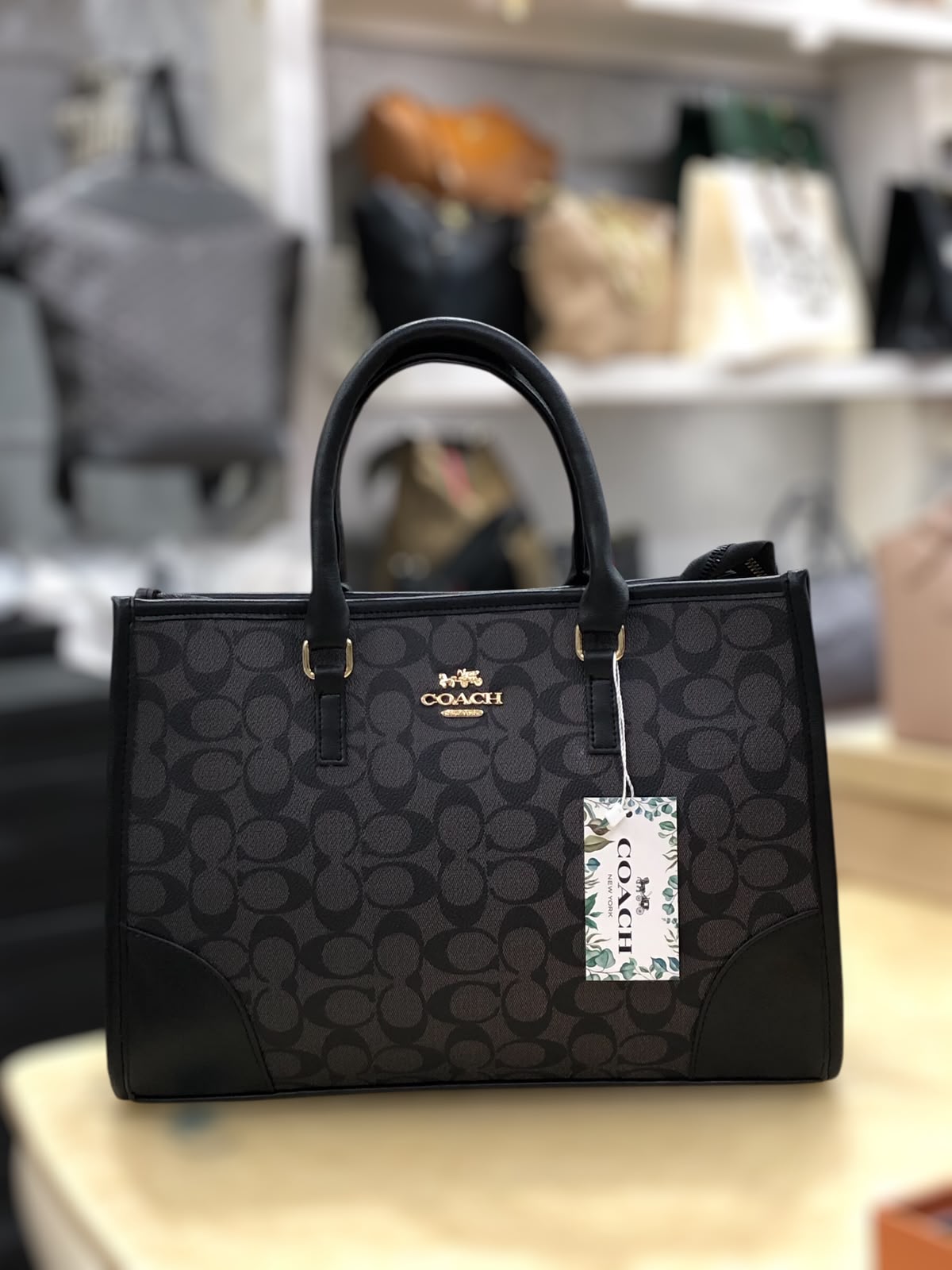 Coach Signature Print Tote Bag for Women with Double
